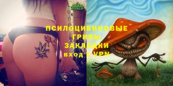 стафф Баксан