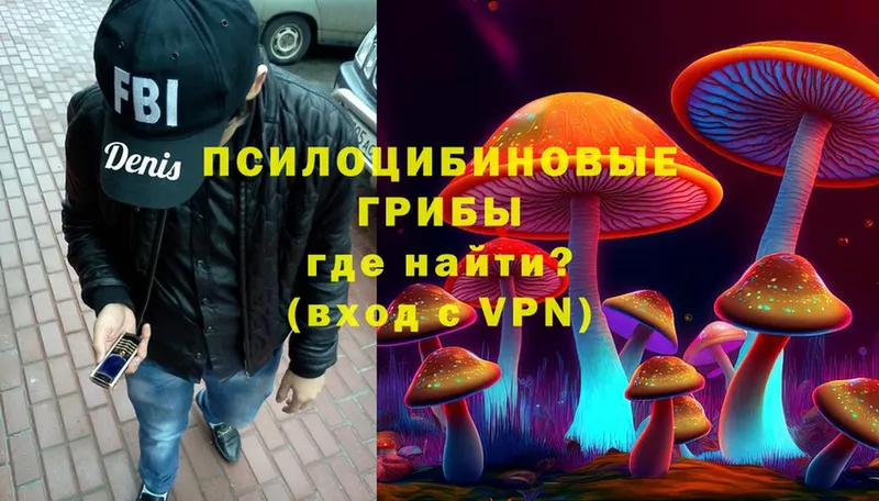 Псилоцибиновые грибы Cubensis  Вичуга 